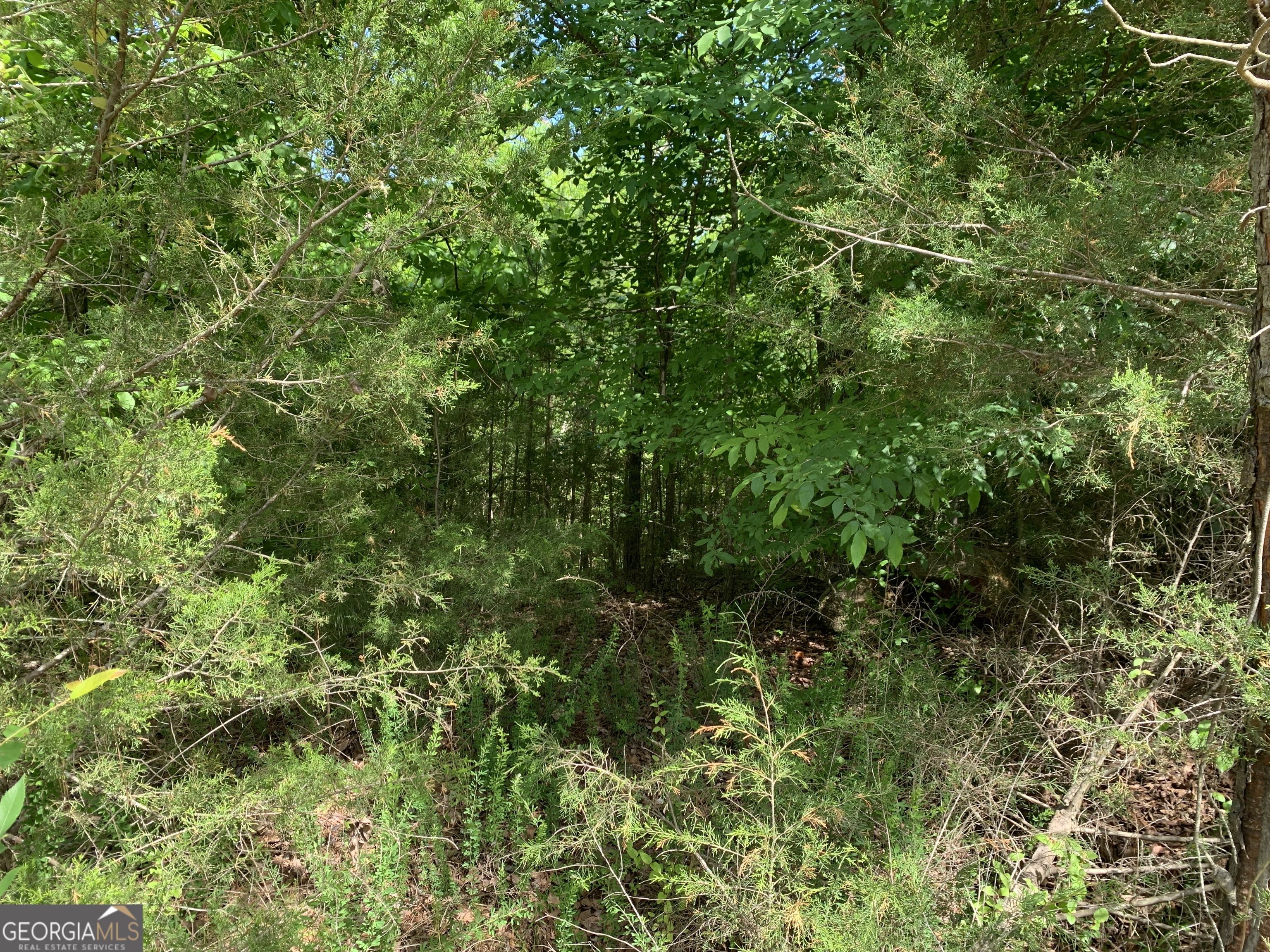 1208 Hornets Bridge Road Elberton, GA 30635 - Photo 6 of 10