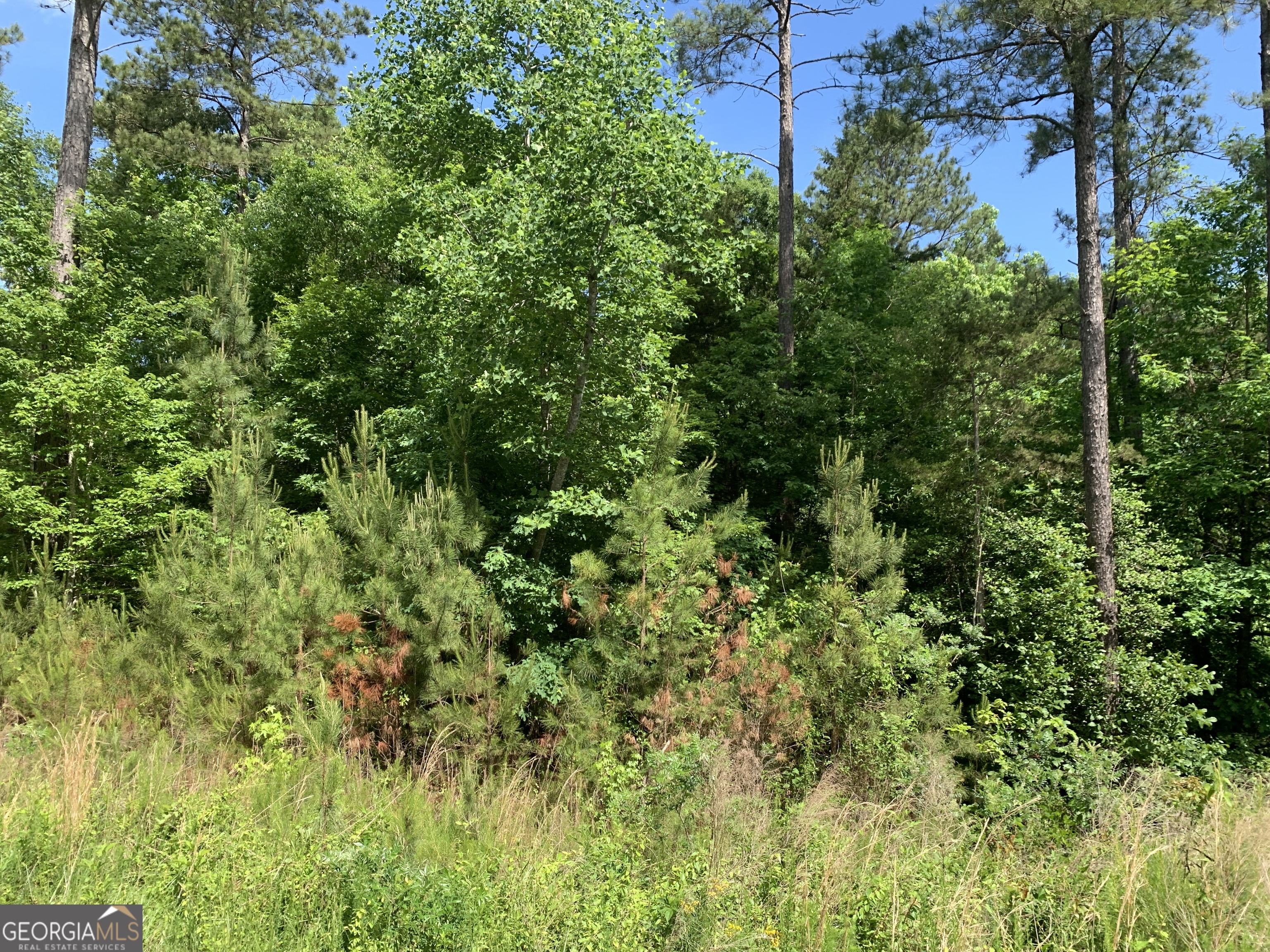 1208 Hornets Bridge Road Elberton, GA 30635 - Photo 9 of 10