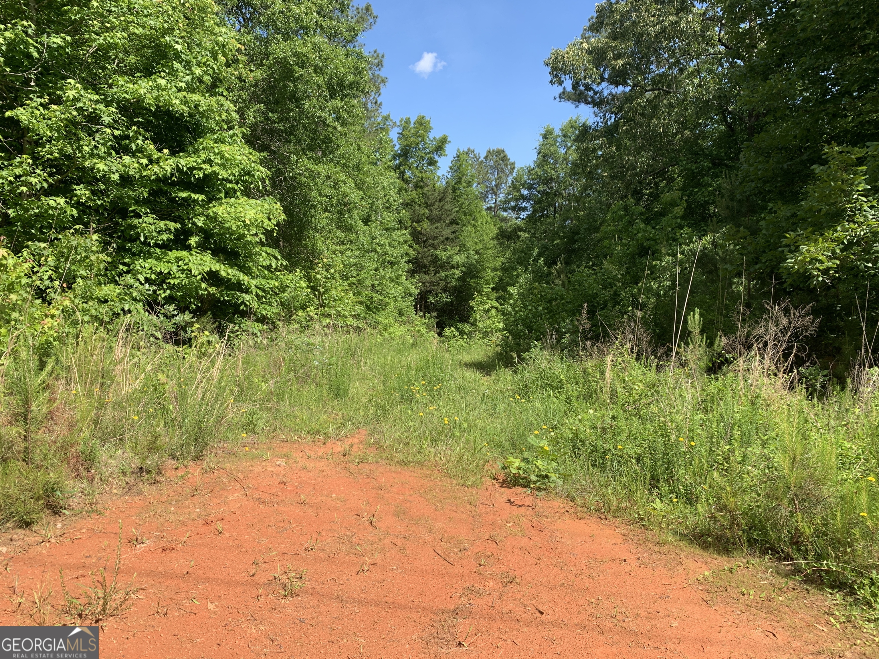 1208 Hornets Bridge Road Elberton, GA 30635 - Photo 10 of 10