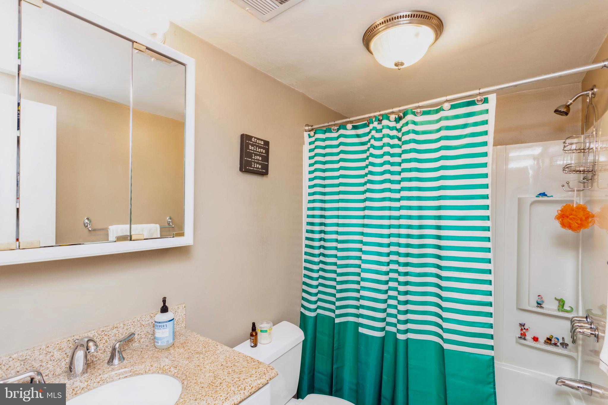 101 Cross Keys Road, Unit R101E Baltimore, MD 21210 - Photo 29 of 46 Hall Bathroom