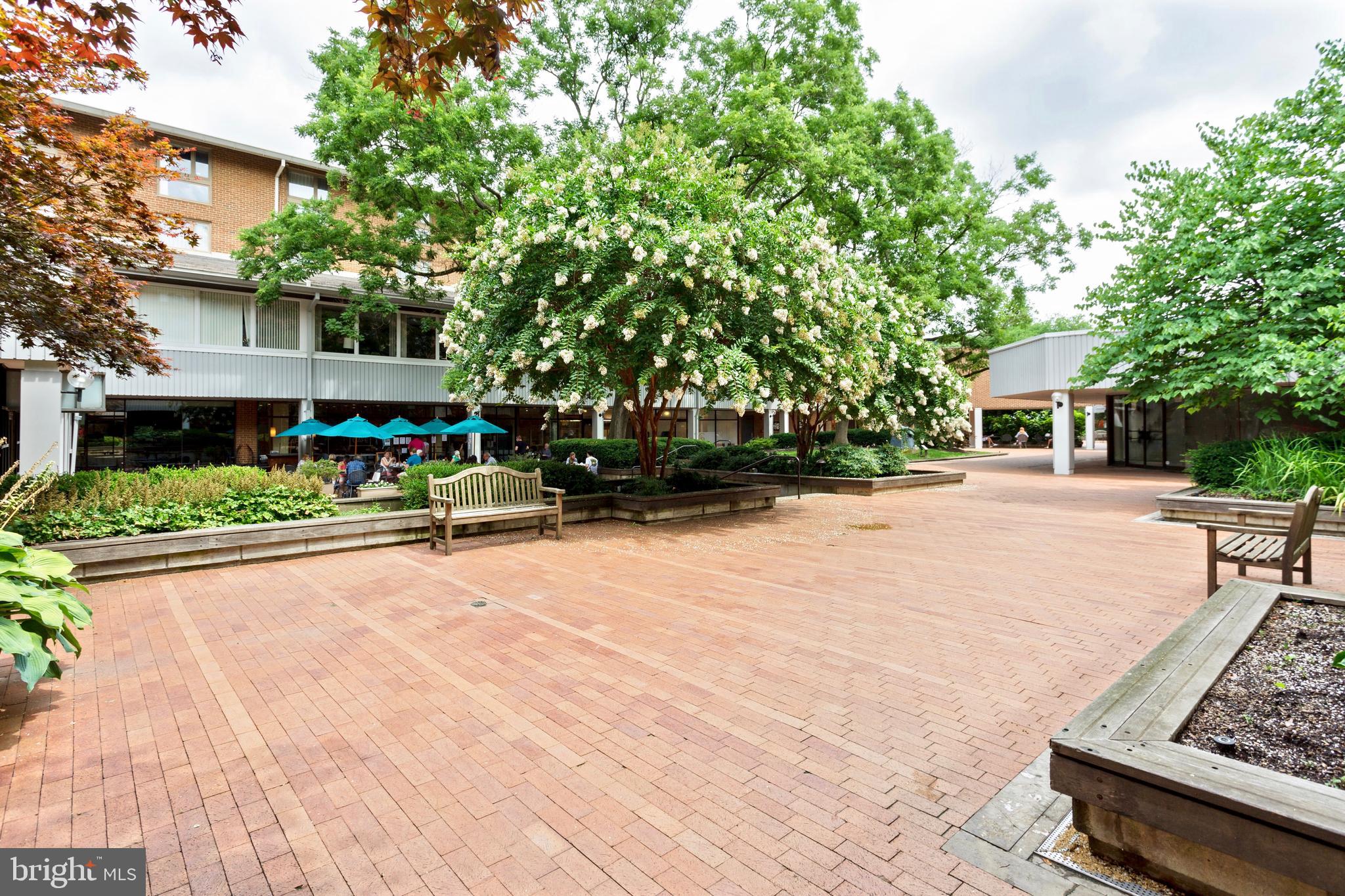 101 Cross Keys Road, Unit R101E Baltimore, MD 21210 - Photo 43 of 46 Community Retail