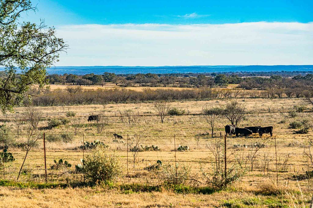 4320 Ranch Road Mason, TX 76856 - Photo 8 of 39 Gallery Image 8