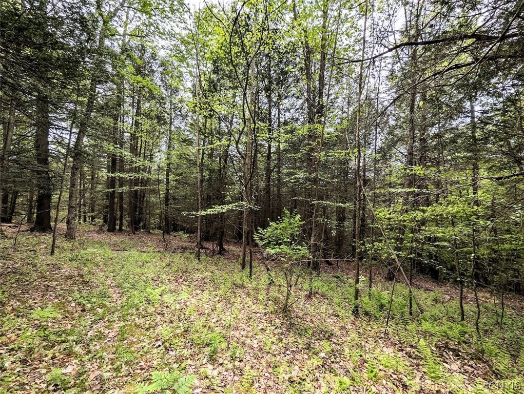 Stewart Road Addison, NY 14801 - Photo 16 of 29