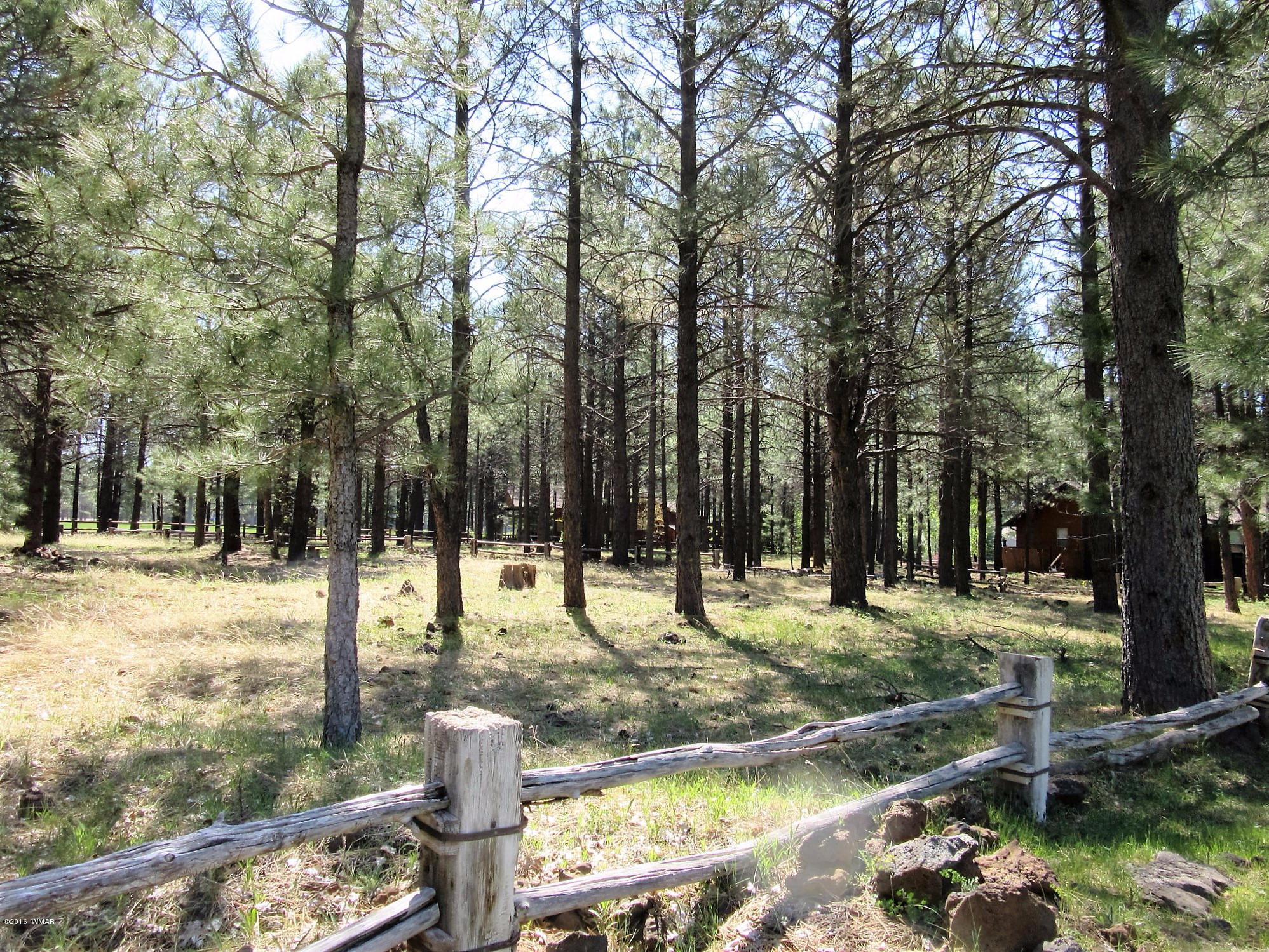 Tbd Buck Springs Road Pinetop, AZ 85935 - Photo 11 of 11