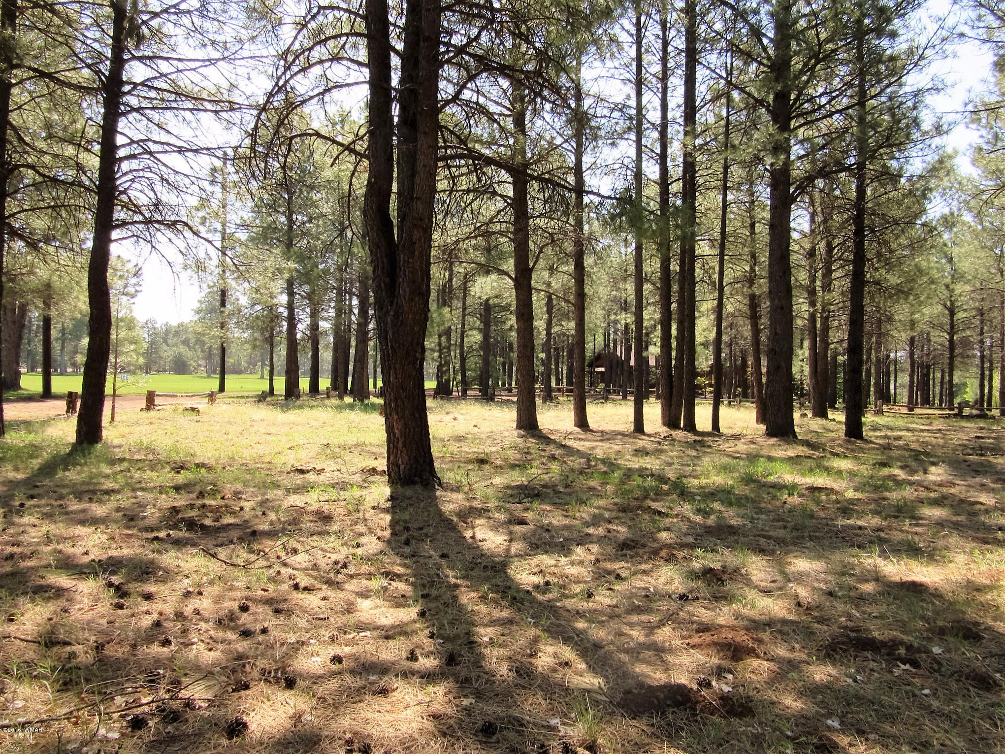 Tbd Buck Springs Road Pinetop, AZ 85935 - Photo 4 of 11
