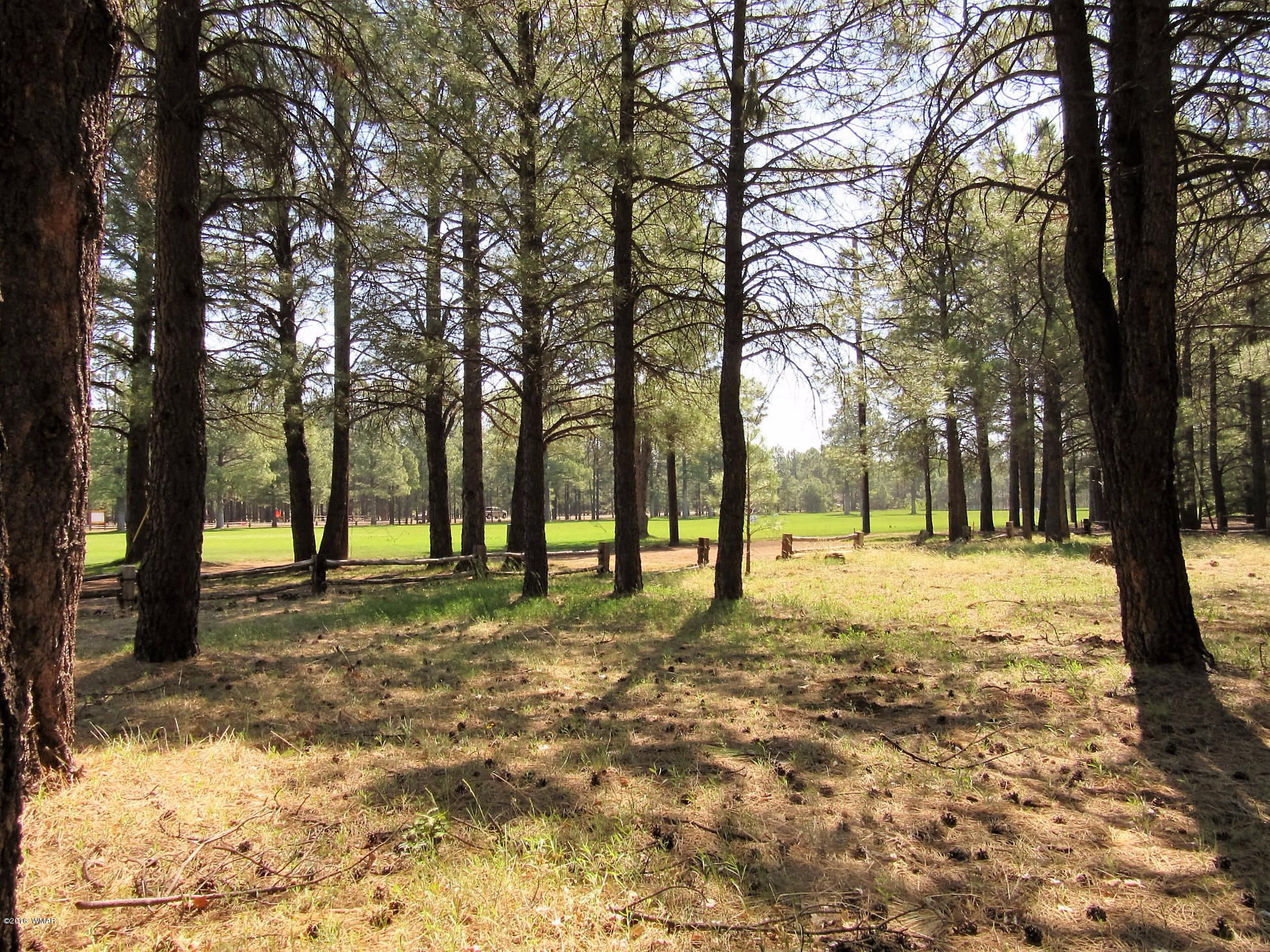 Tbd Buck Springs Road Pinetop, AZ 85935 - Photo 5 of 11