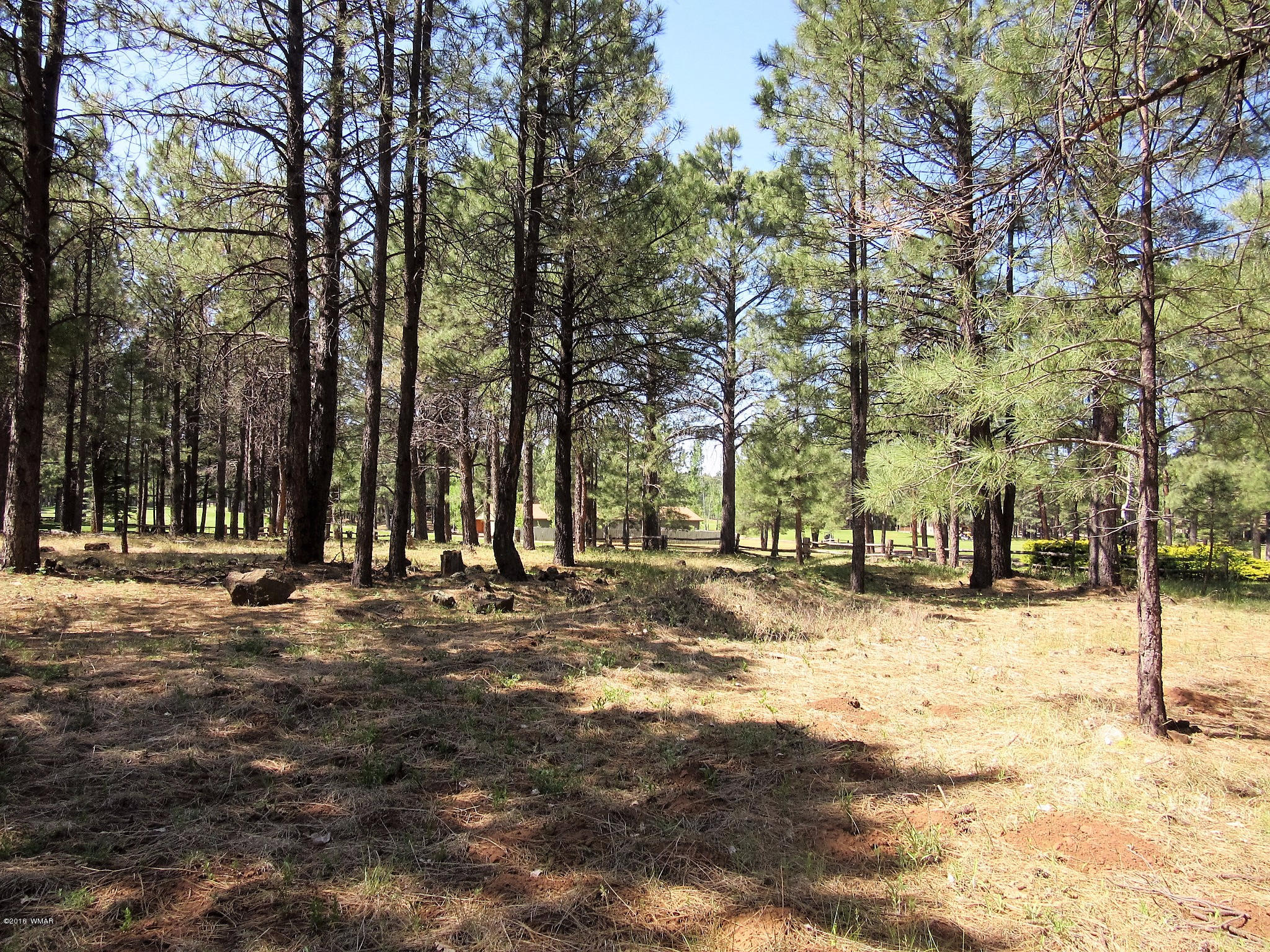 Tbd Buck Springs Road Pinetop, AZ 85935 - Photo 6 of 11