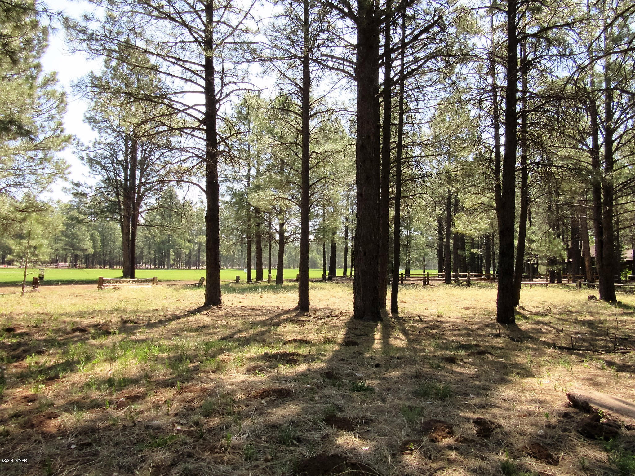 Tbd Buck Springs Road Pinetop, AZ 85935 - Photo 7 of 11