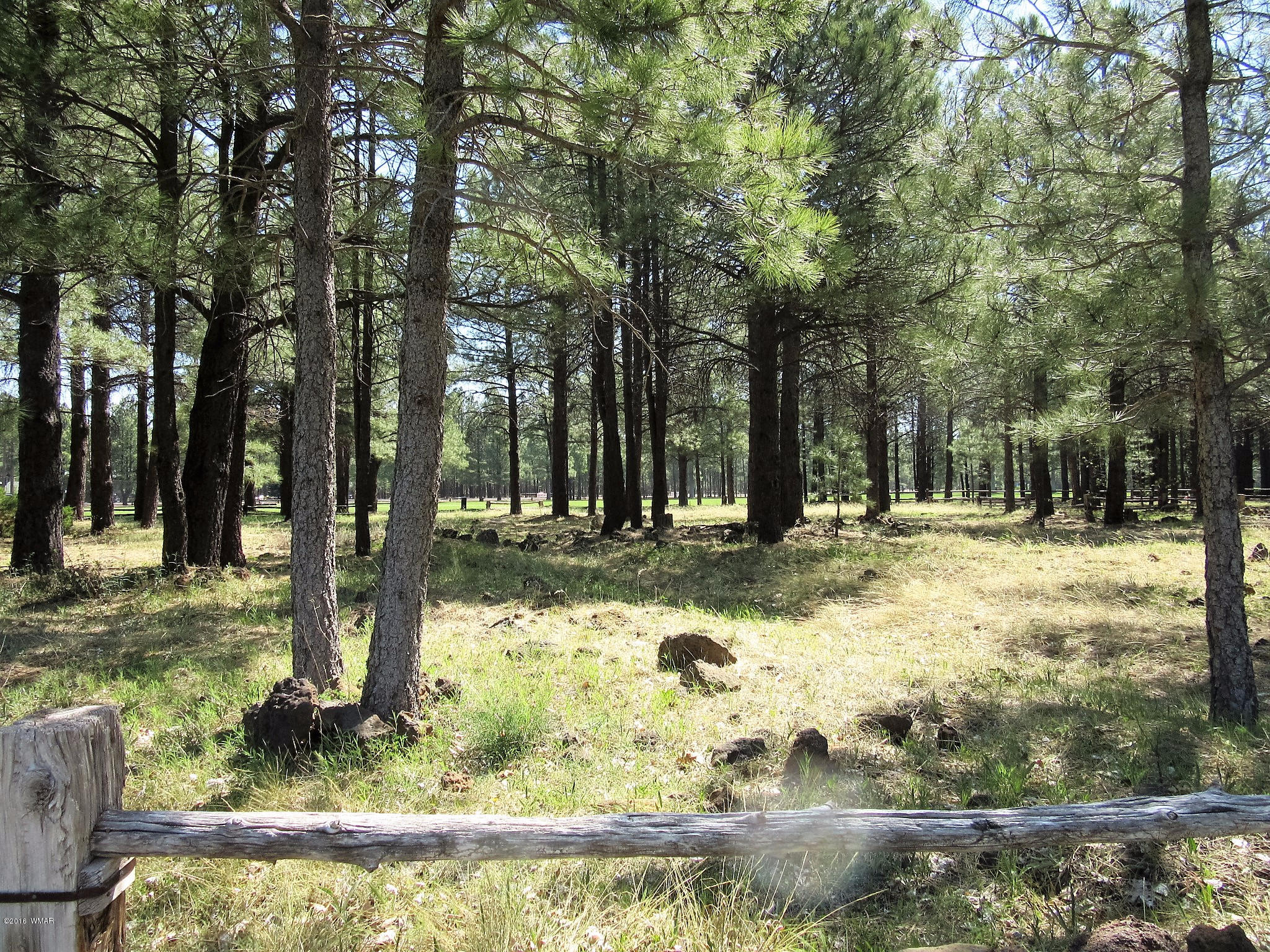 Tbd Buck Springs Road Pinetop, AZ 85935 - Photo 10 of 11