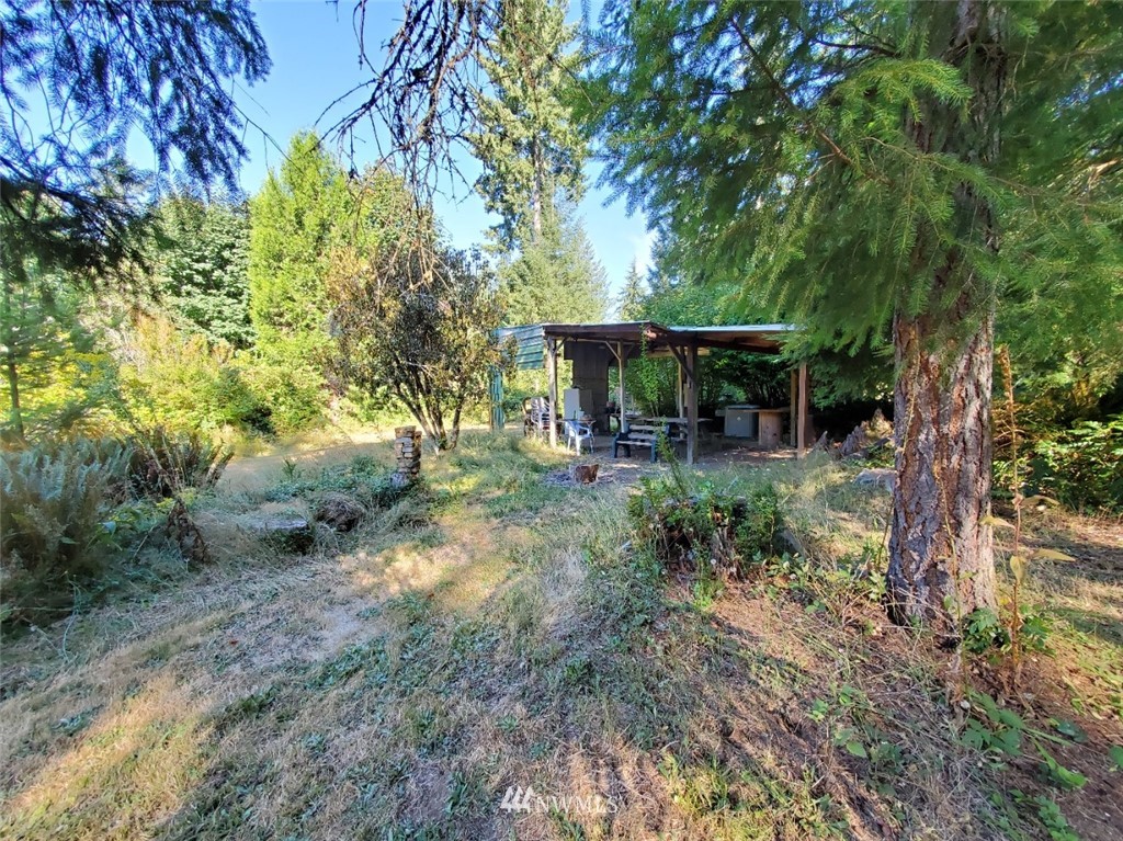205 Calvin Road Cinebar, WA 98533 - Photo 31 of 38 Gallery Image 31