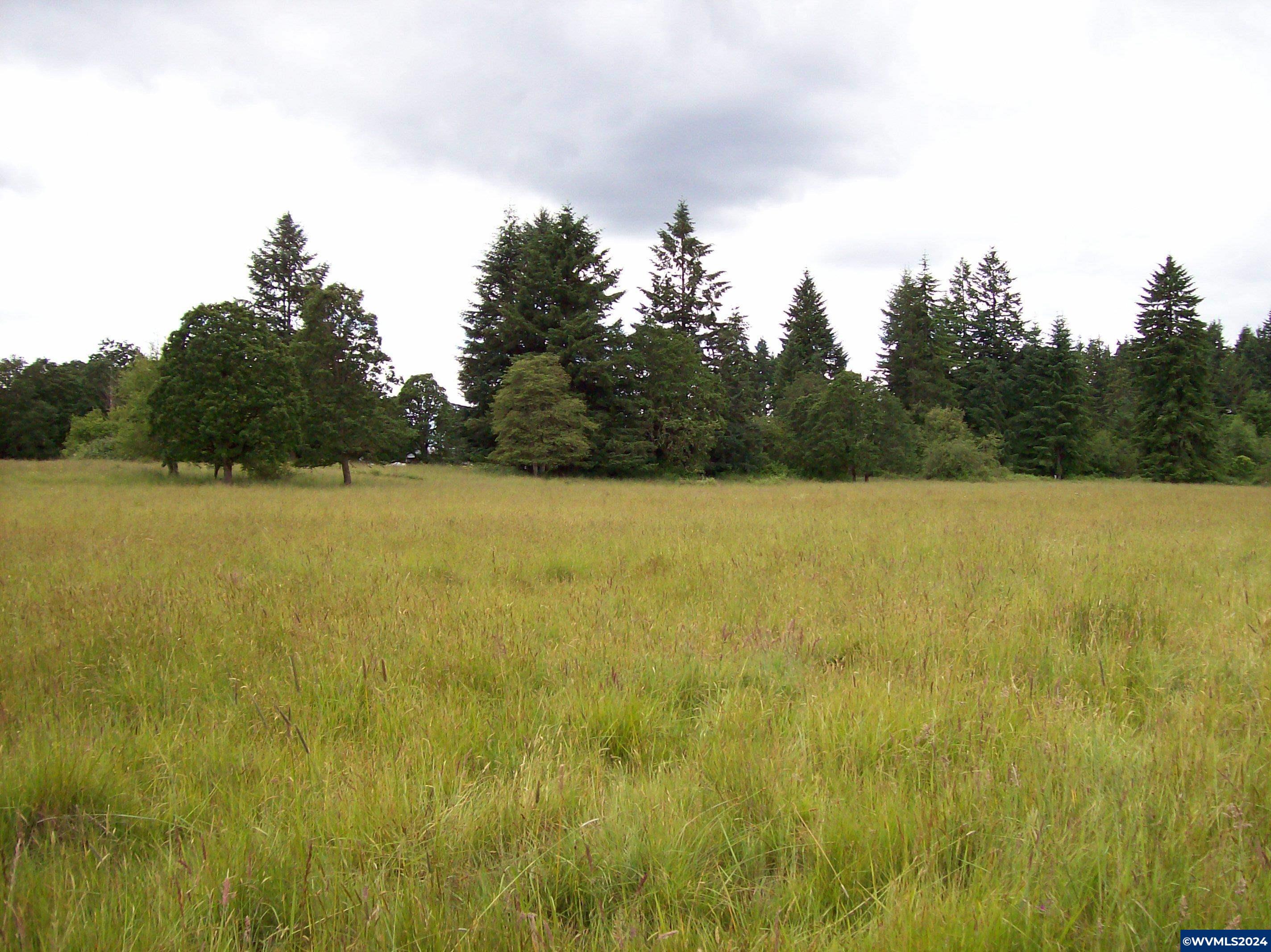 30209 Fairview Road Lebanon, OR 97355 - Photo 24 of 32