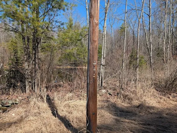 $1,200,000 | M1-l16 Province Road, Center Barnstead, NH 03225
