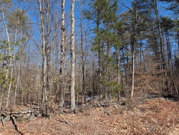 $1,200,000 | M1-l16 Province Road, Center Barnstead, NH 03225