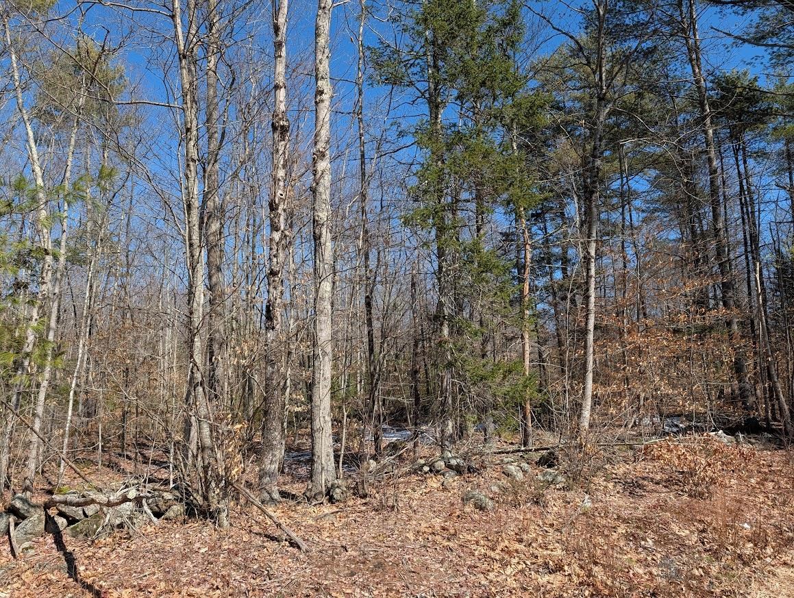 M1-l16 Province Road Center Barnstead, NH 03225 - Photo 15 of 28