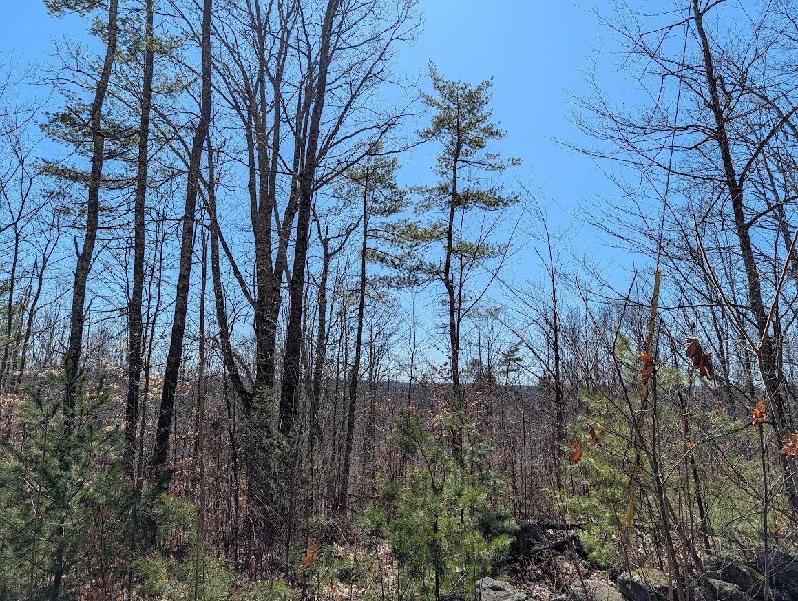 M1-l16 Province Road Center Barnstead, NH 03225 - Photo 19 of 28