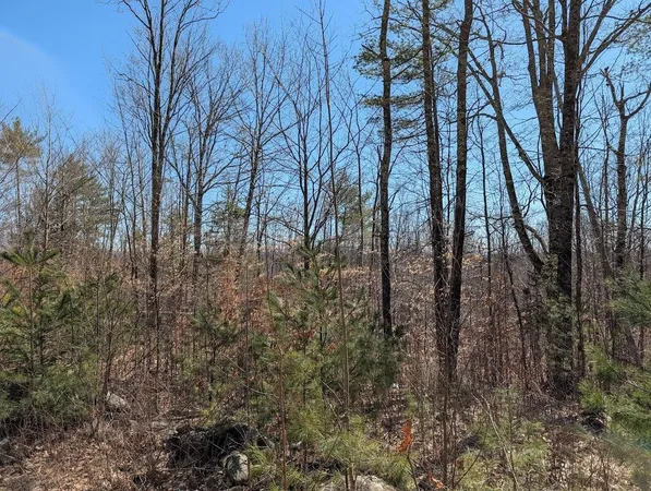 $1,200,000 | M1-l16 Province Road, Center Barnstead, NH 03225