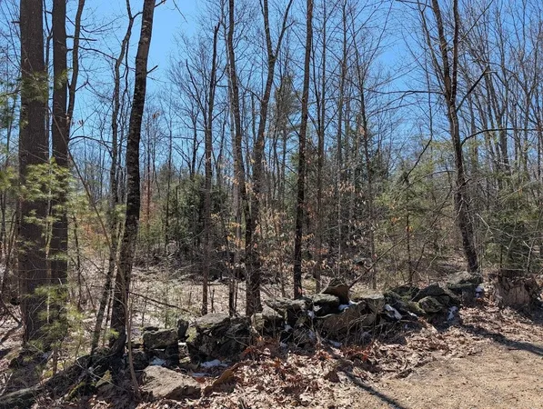 $1,200,000 | M1-l16 Province Road, Center Barnstead, NH 03225