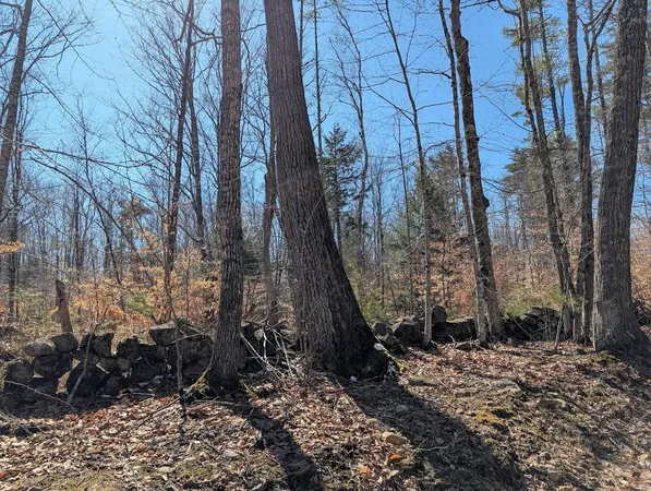 $1,200,000 | M1-l16 Province Road, Center Barnstead, NH 03225
