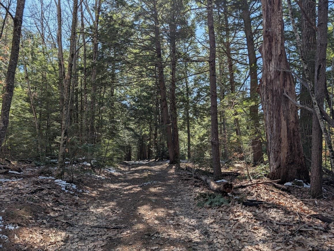 M1-l16 Province Road Center Barnstead, NH 03225 - Photo 28 of 28