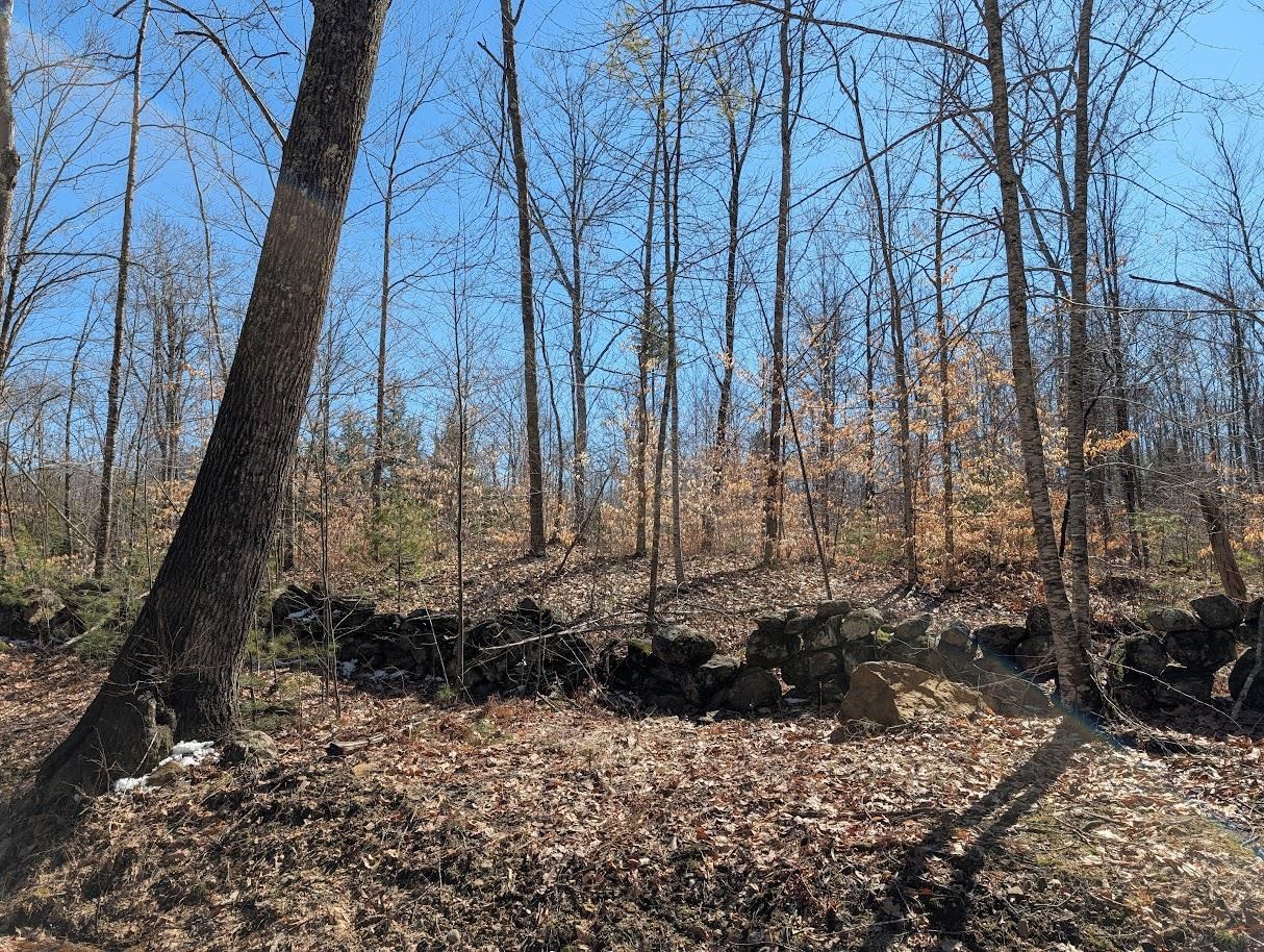 M1-l16 Province Road Center Barnstead, NH 03225 - Photo 4 of 28