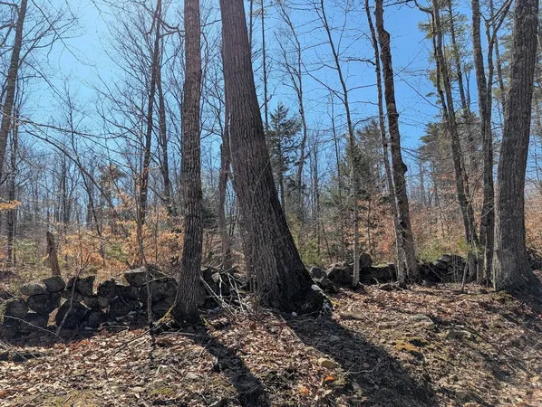 $1,200,000 | M1-l16 Province Road, Center Barnstead, NH 03225