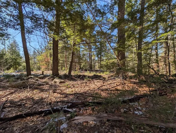 $1,200,000 | M1-l16 Province Road, Center Barnstead, NH 03225