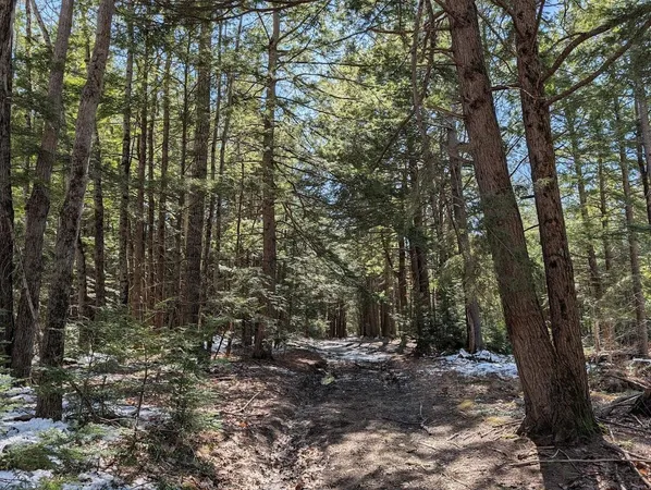 $1,200,000 | M1-l16 Province Road, Center Barnstead, NH 03225