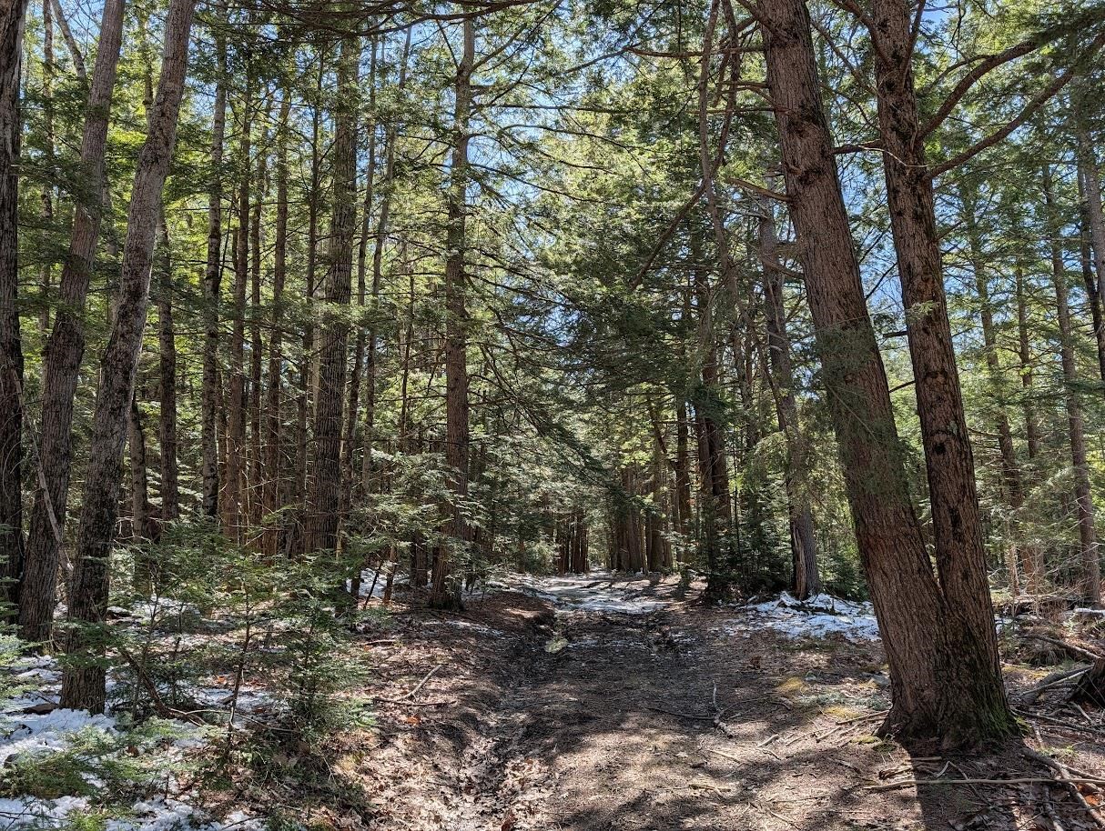 M1-l16 Province Road Center Barnstead, NH 03225 - Photo 8 of 28