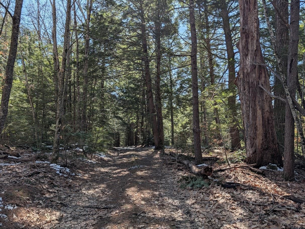 M1-l16 Province Road Center Barnstead, NH 03225 - Photo 9 of 28