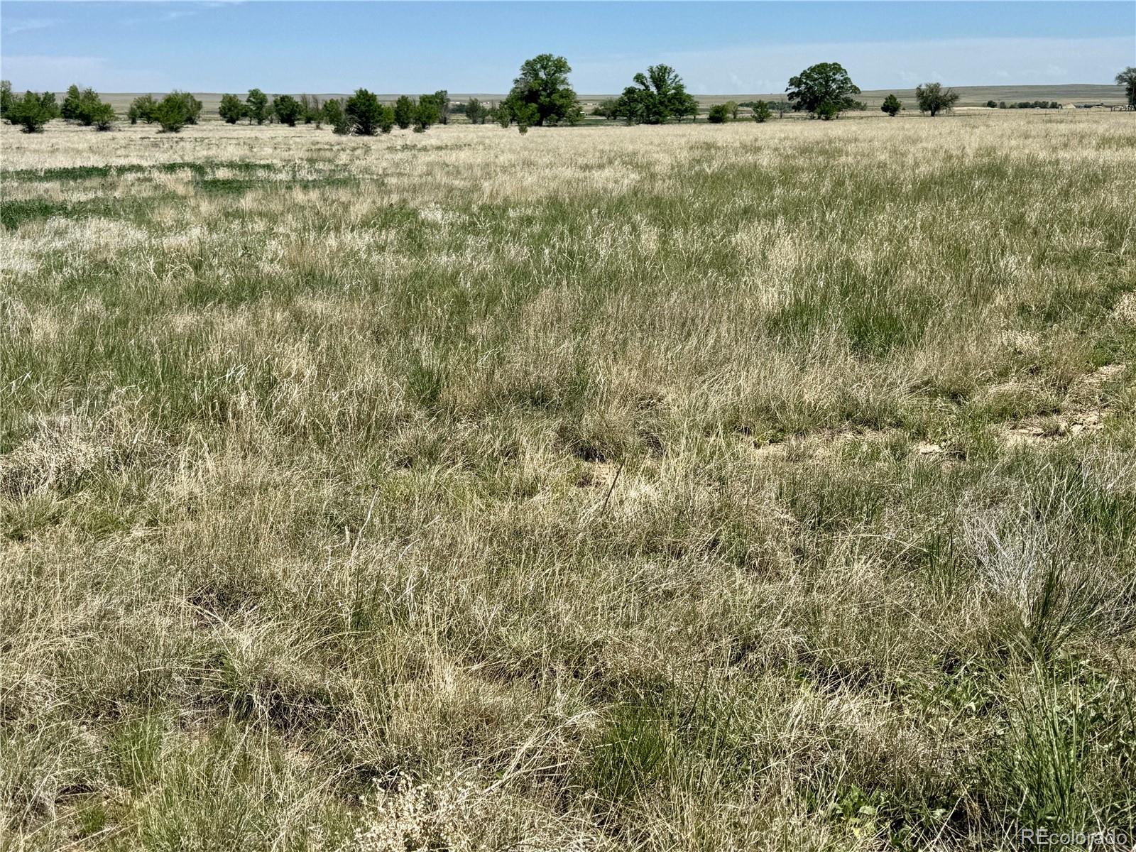 1 South E Ellicott Road Calhan, CO 80808 - Photo 11 of 13 a view of a field with an outdoor space