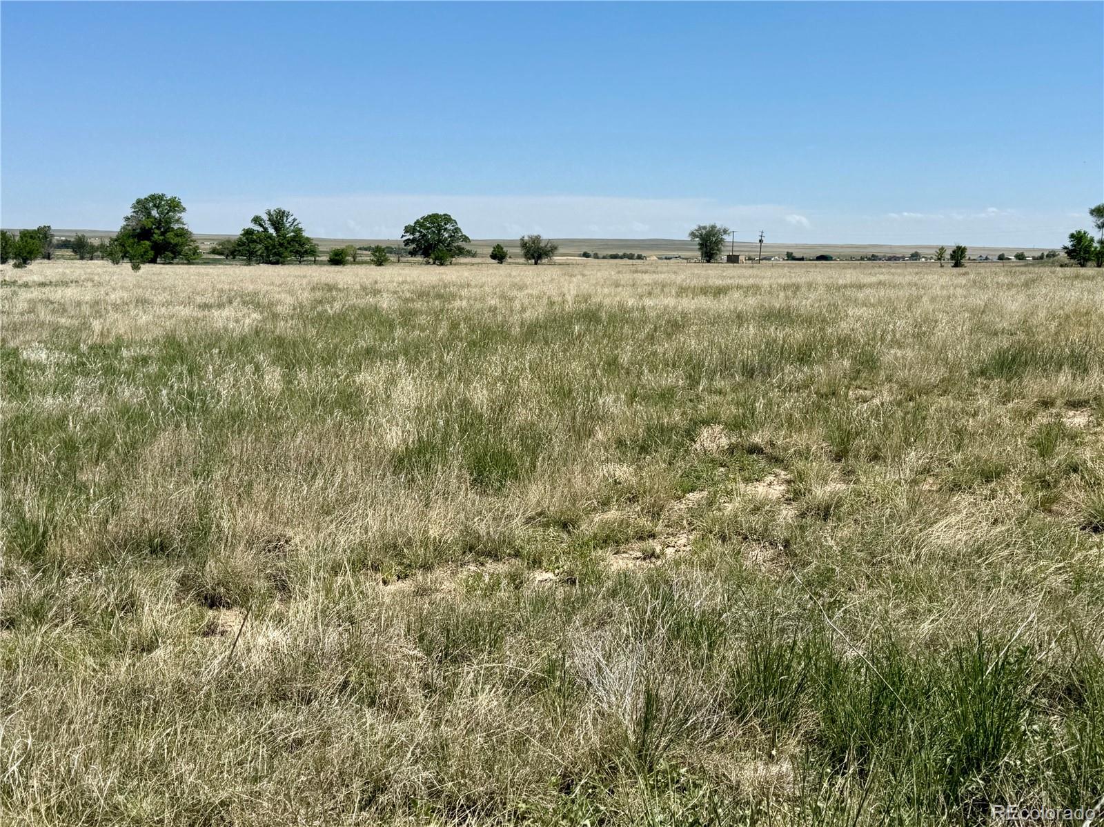 1 South E Ellicott Road Calhan, CO 80808 - Photo 12 of 13 a view of a green field