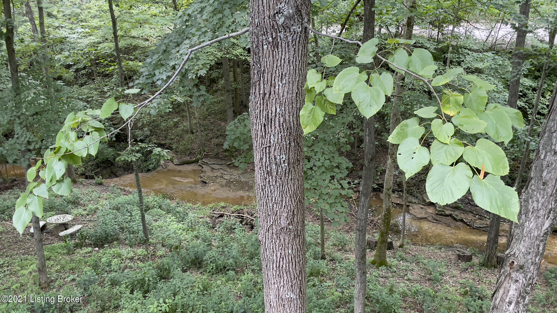 3616 Trail Ridge Road Louisville, KY 40241 - Photo 70 of 70 Creek and Water Fall