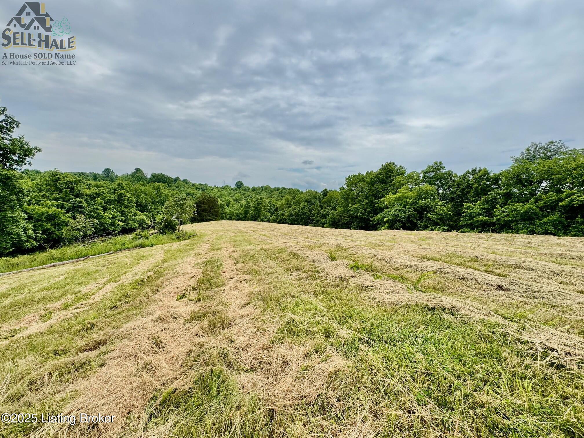 2 Polin Road Willisburg, KY 40078 - Photo 2 of 17 IMG_2883