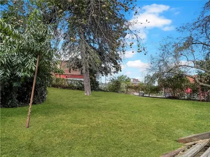 a view of a field with trees