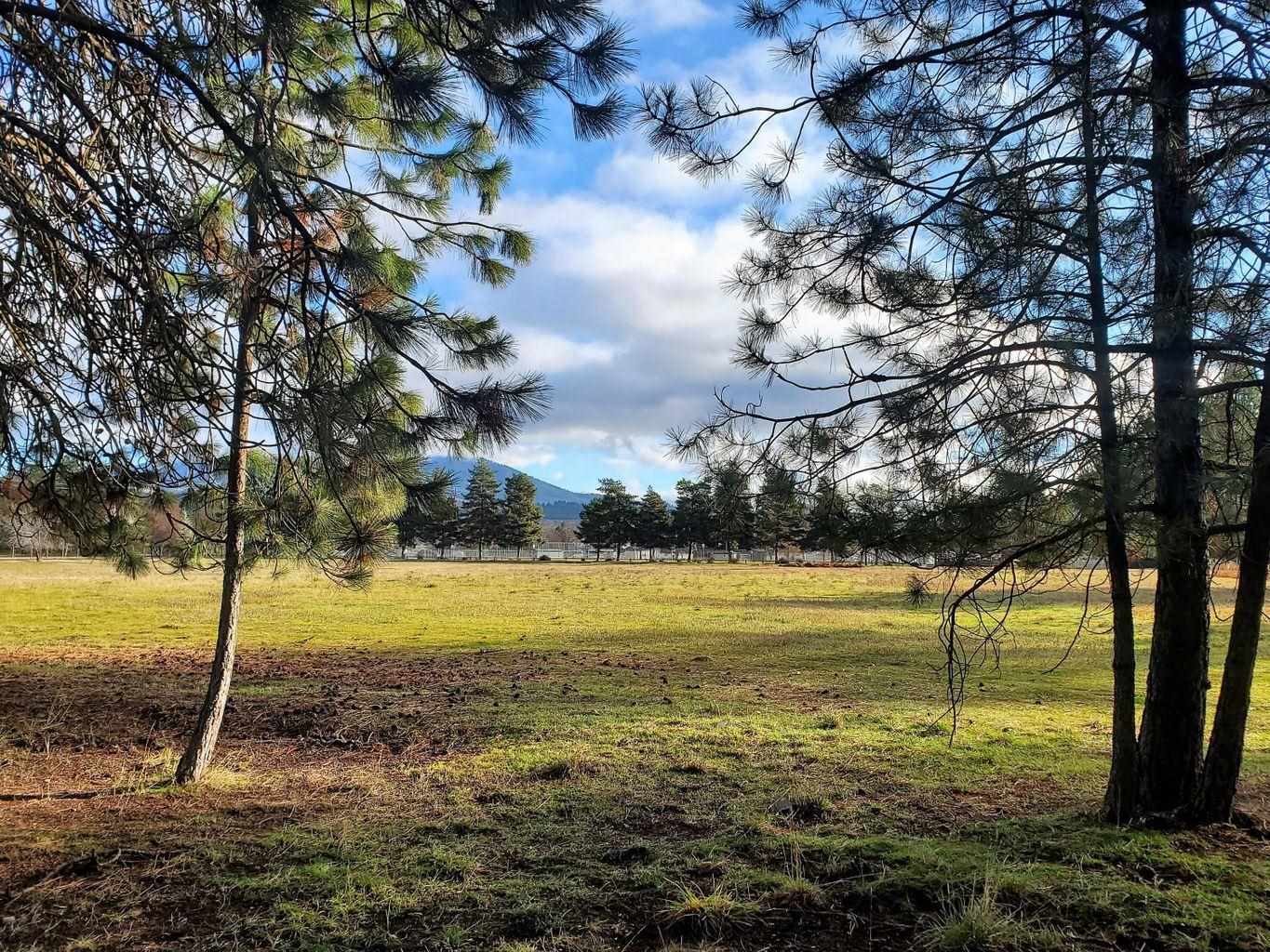 175 South Silke Road Colville, WA 99114 - Photo 22 of 25