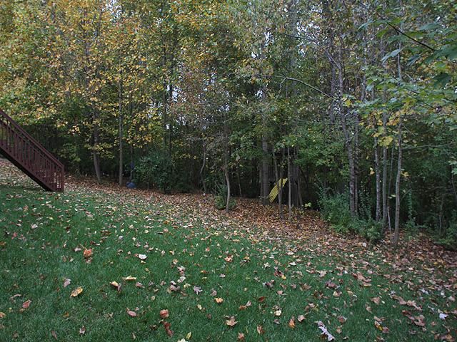 164 Mickleson Ridge Drive Raleigh, NC 27603 - Photo 24 of 25 a backyard of a house with lots of green space