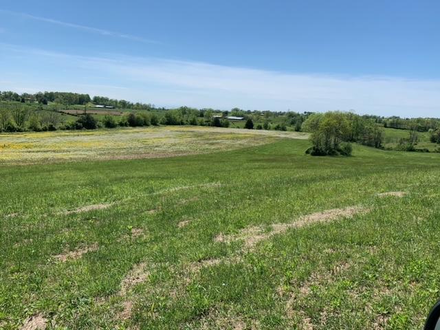 0 Pergram Road Owingsville, KY 40360 - Photo 7 of 12 Pic 8