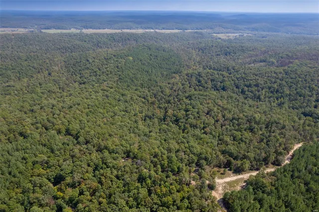 $48,811 | 0 Madison Cr, Fredericktown, MO 63645