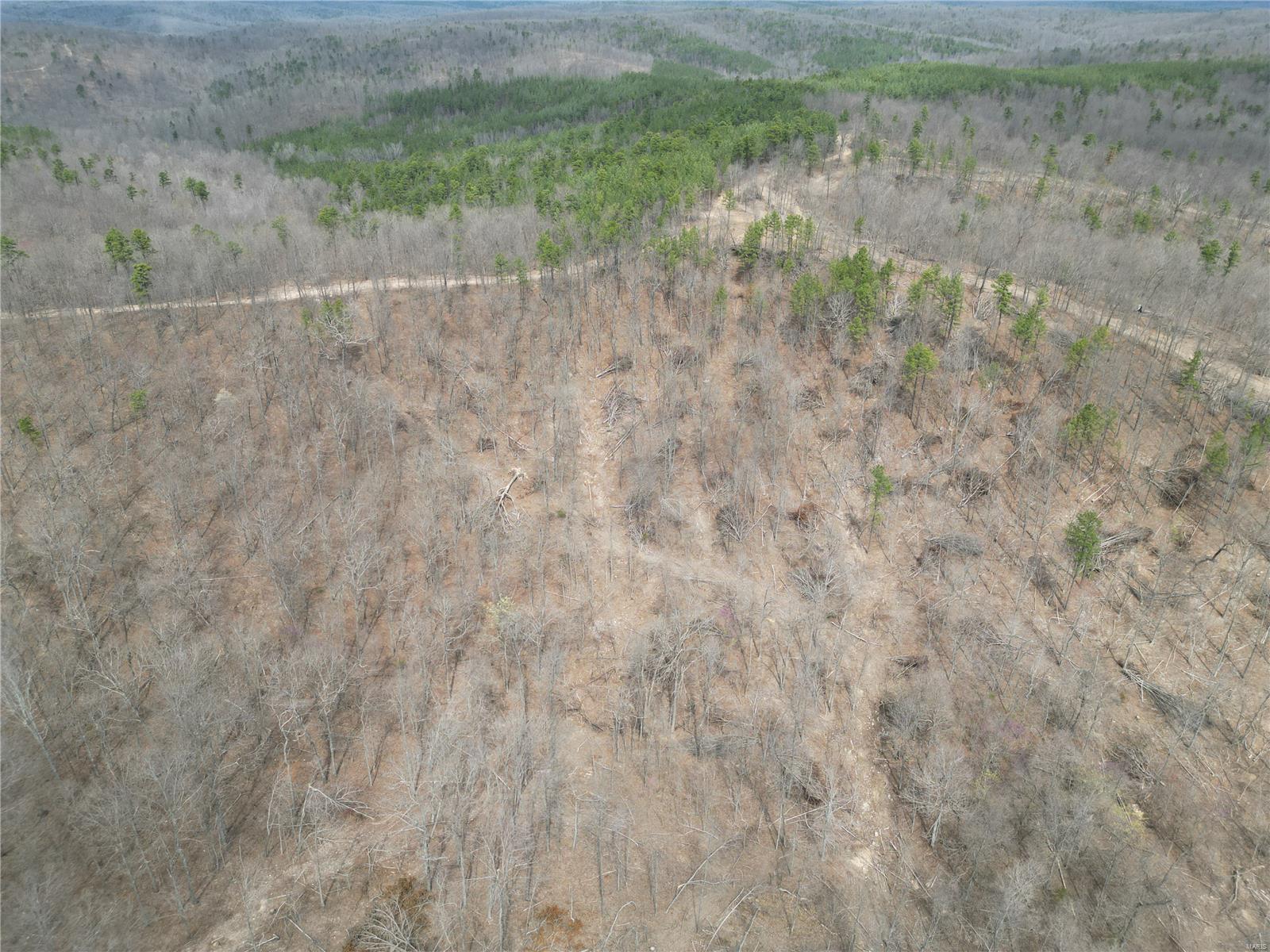 0 Madison Cr Fredericktown, MO 63645 - Photo 2 of 27