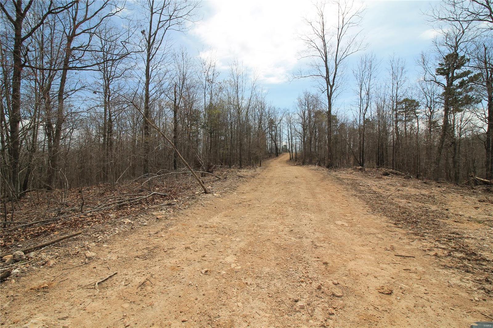 0 Madison Cr Fredericktown, MO 63645 - Photo 4 of 27