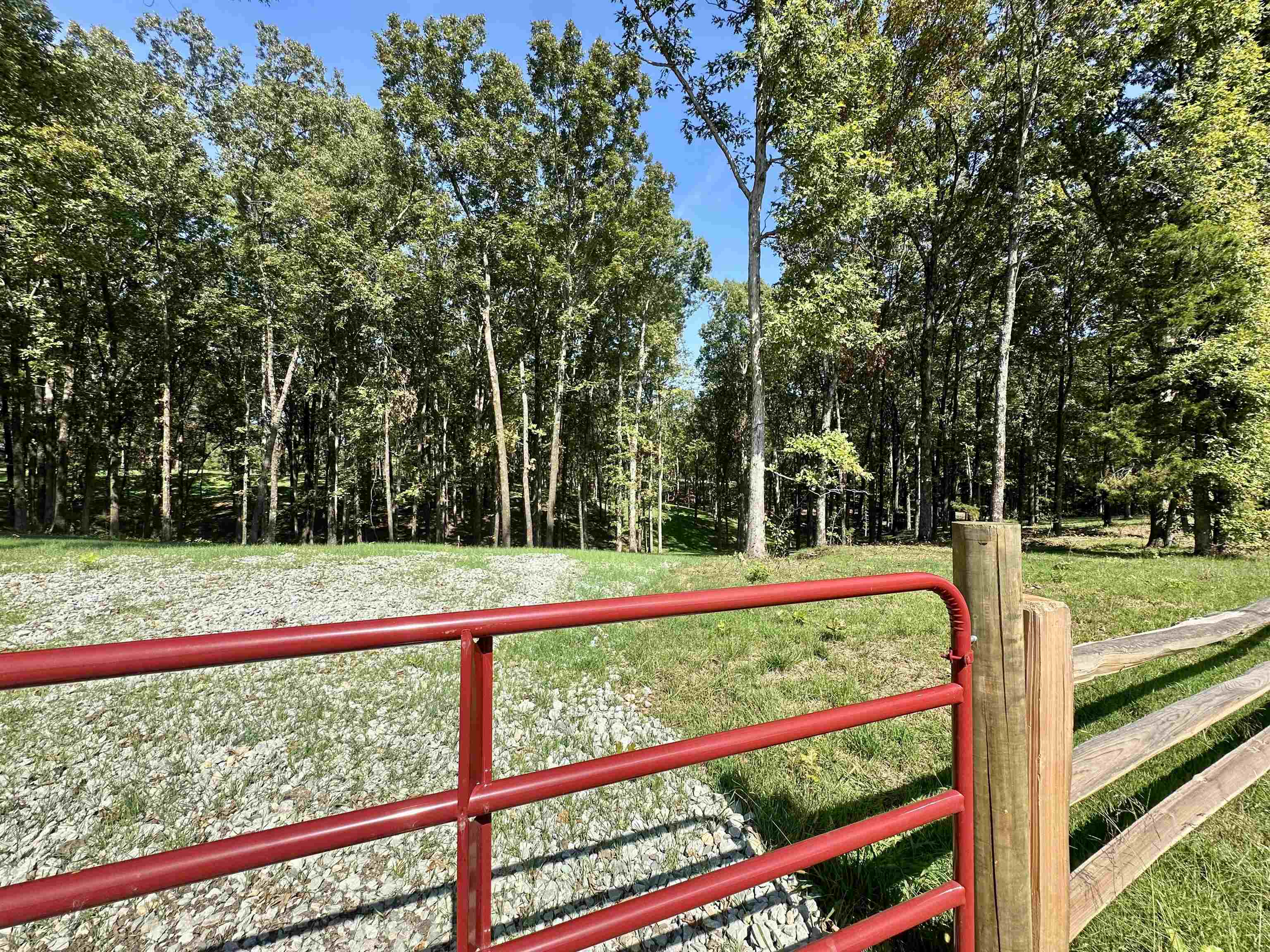 a view of a yard with wooden fence