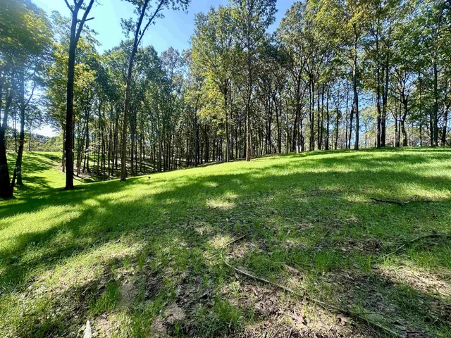 a backyard of a house with lots of green space