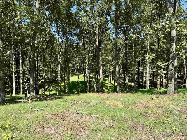 a view of green field