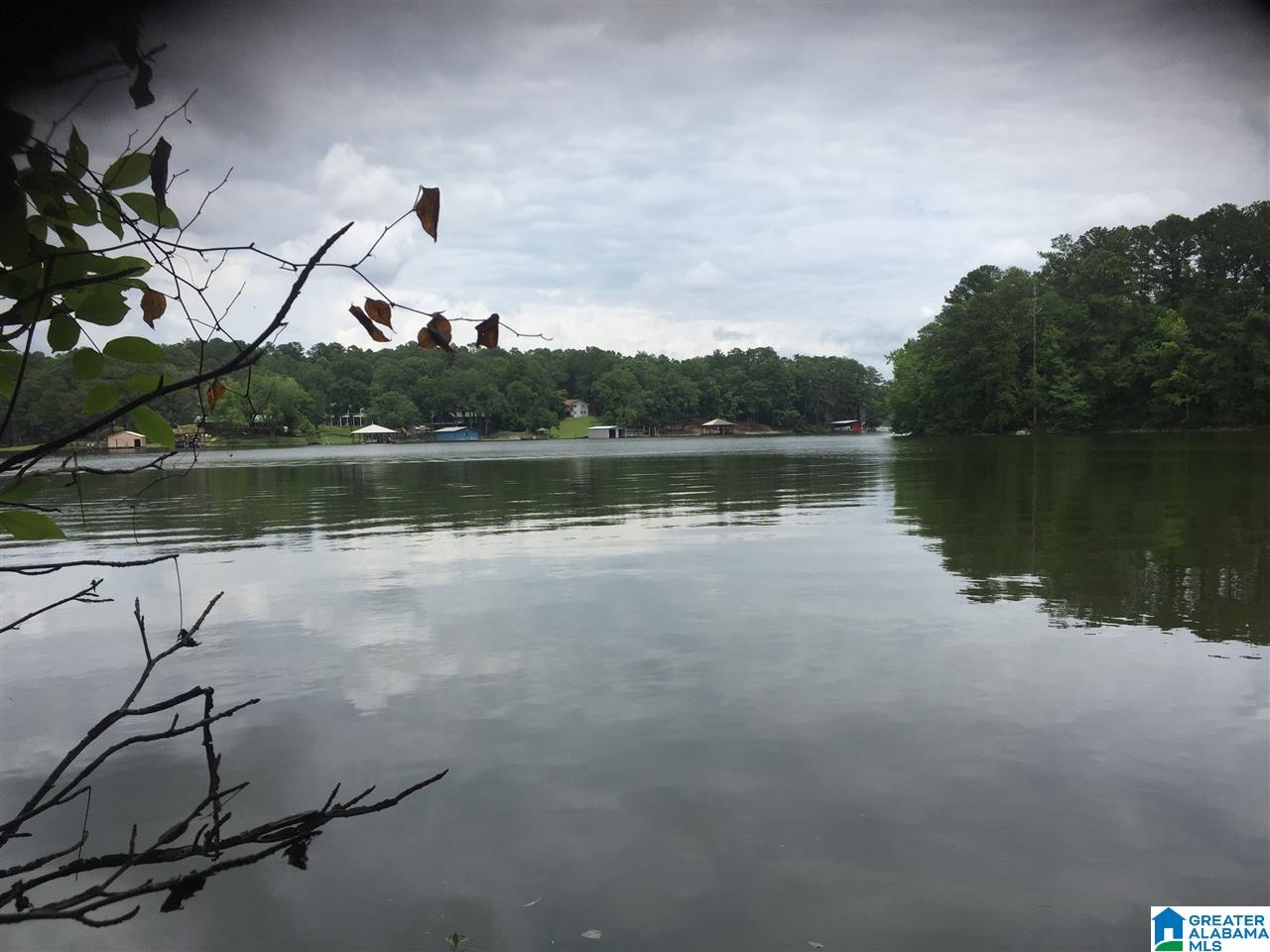 Black Acres Road, Unit 34 Odenville, AL 35120 - Photo 1 of 19