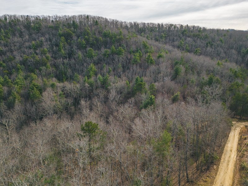 Tbd Tbd Little Irish Road Hiwassee, VA 24347 - Photo 3 of 11 Gallery Image 3