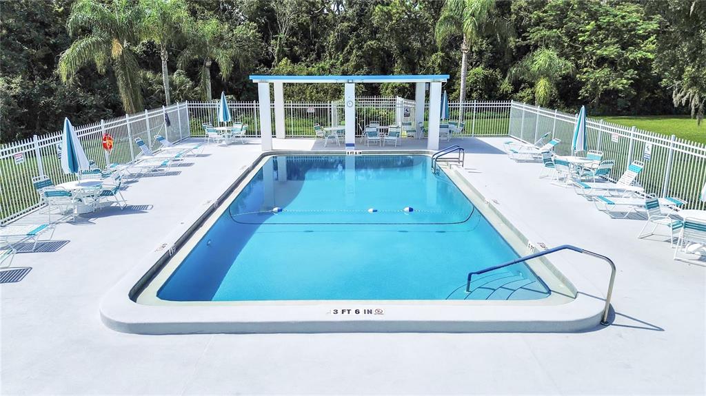 9314 Alta Sol Way New Port Richey, FL 34655 - Photo 47 of 54