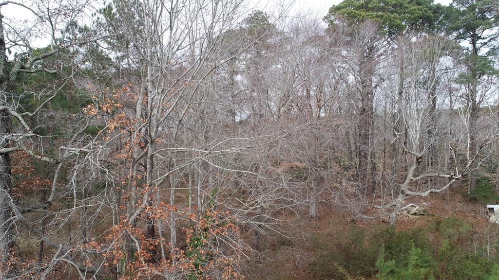Lot 6 Bayford Road, Unit 6 Franktown, VA 23354 - Photo 5 of 21