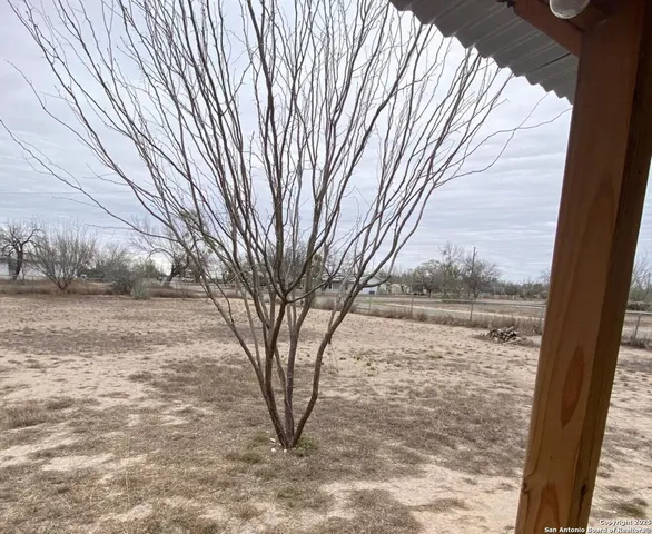 a view of a yard with a large tree
