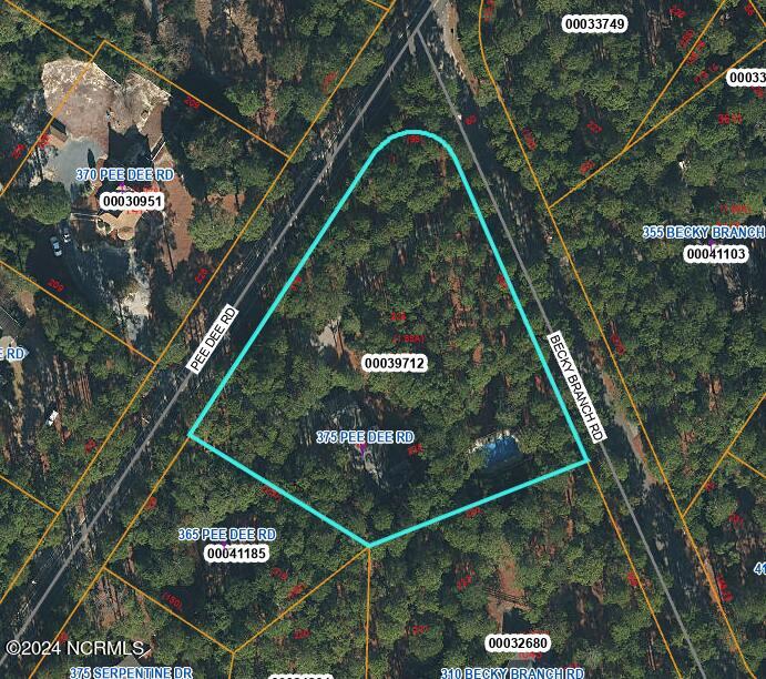 375 Pee Dee Road Southern Pines, NC 28387 - Photo 39 of 44 Aerial