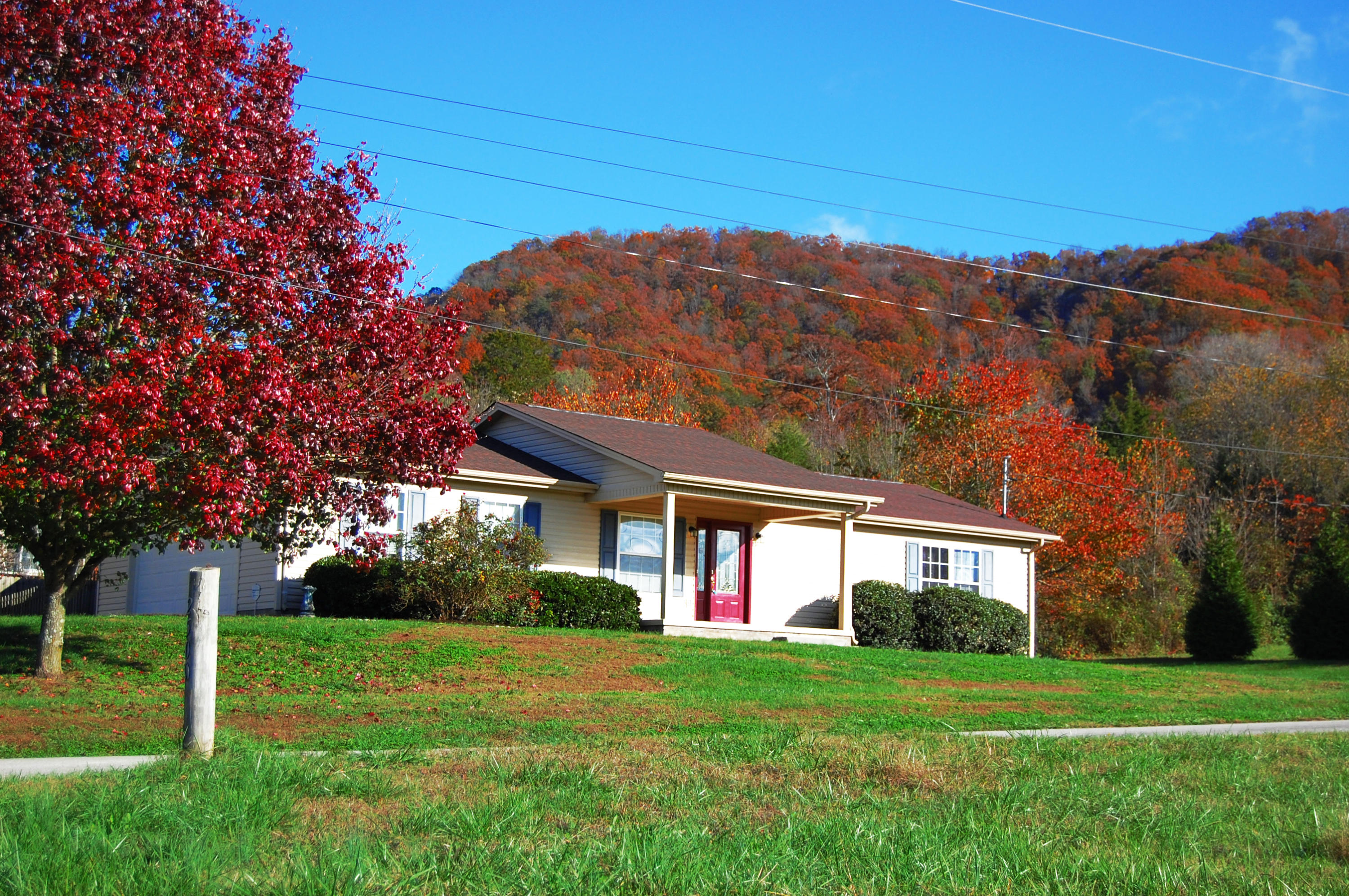 2516 County Line Road Mooresburg, TN 37811 - Photo 3 of 36 1